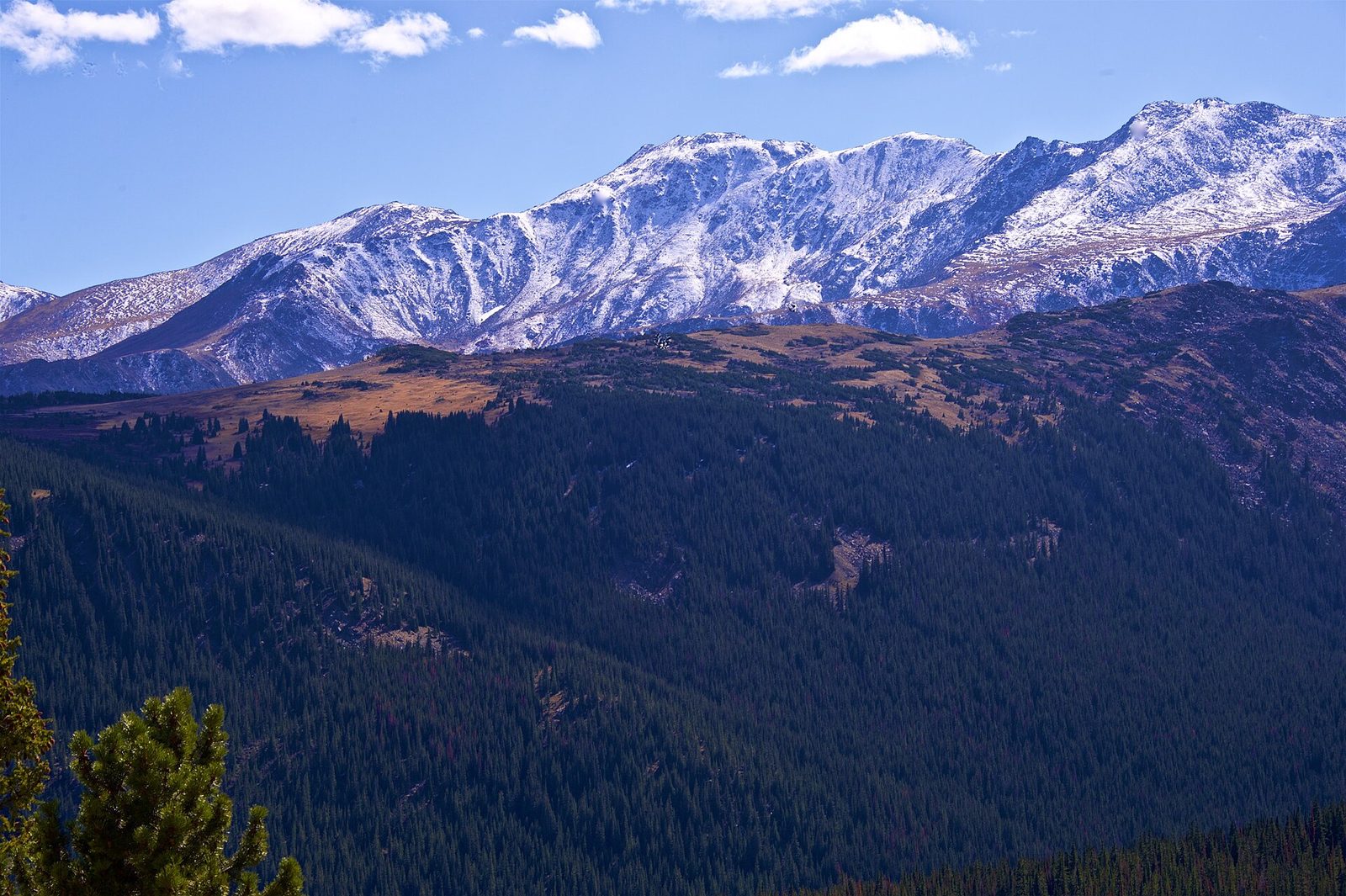 Snow-dusted ridgeline of Mount Massive above a forested valley, seen from Hagerman Pass