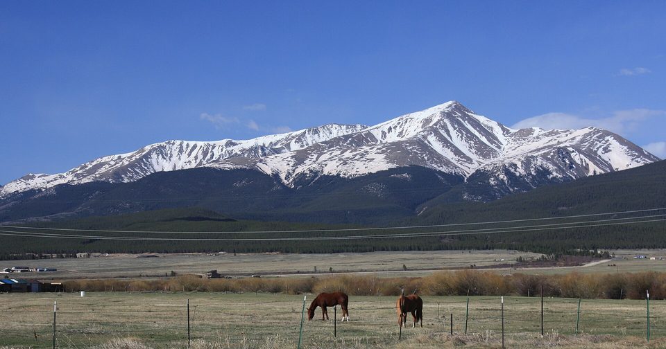 Two horses grazing in a fenced pasture below snow-covered Mount Elbert